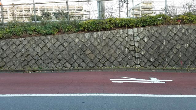 戸山公園界隈-石垣