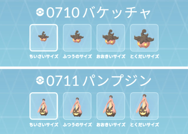 BOX整理_フォルム違い_新図鑑_サイズでフォルムが違う